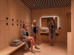 Desavu Sauna and More logo vaalea