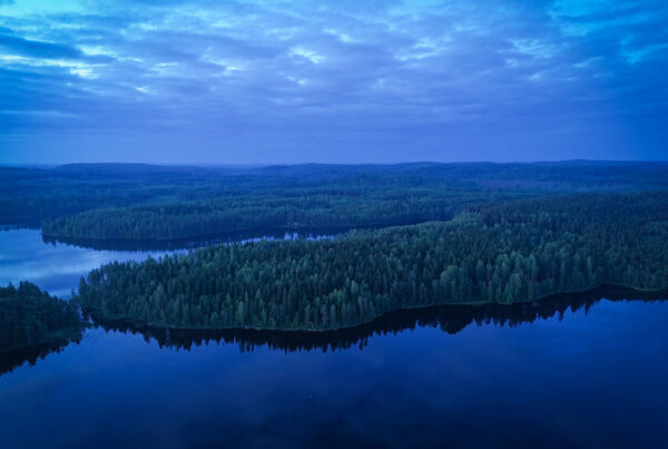Desavu offers authentic finnish sauna expertise